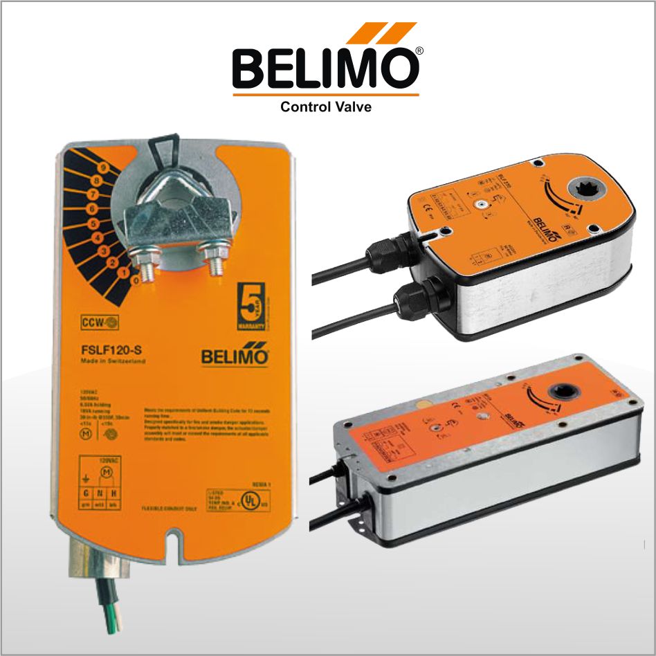 Belimo 1