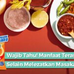 Manfaat terasi udang