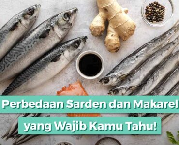 perbedaan sarden dan makarel
